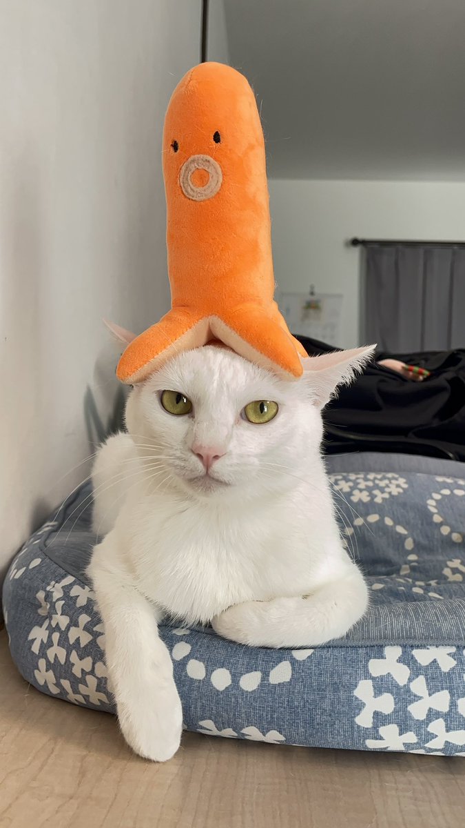 にゃぱねっと♂ (@288os) / X