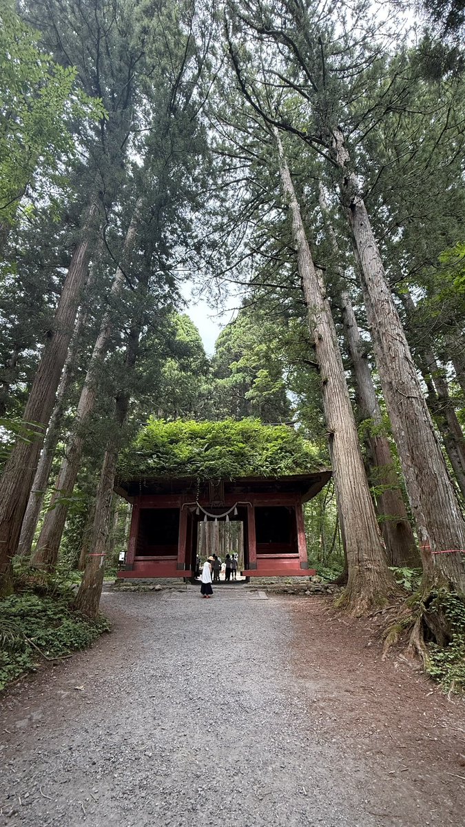 24Nomadic8's tweet photo. 戸隠神社、九頭龍社 https://t.co/QajrJxtd5m