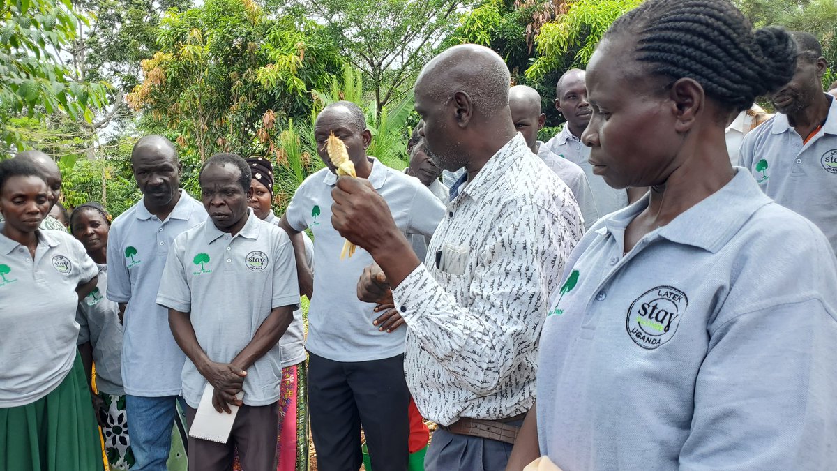 YesBusia tweet media