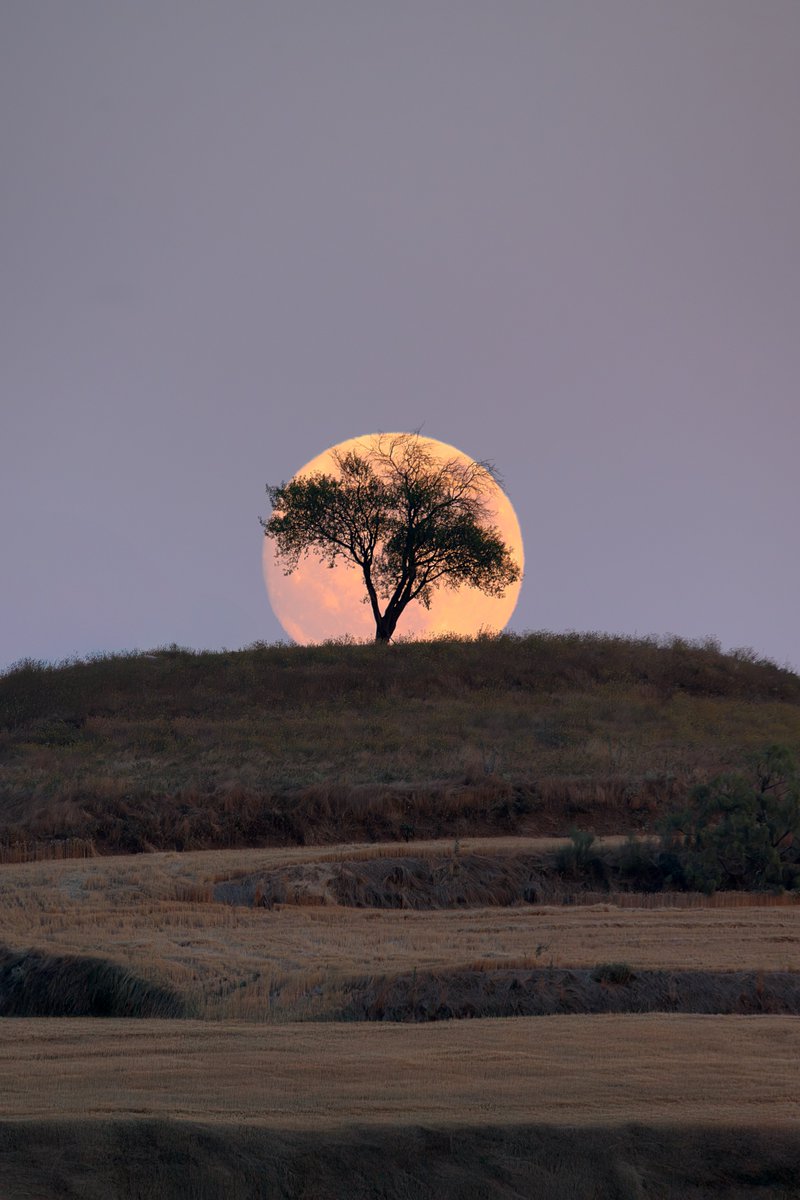 Emilio (@piensaenpixel) on Twitter photo Los últimos meses han sido complicados para fotografiar la luna, pero por fin algo se ha dejado ver… Los últimos meses han sido complicados para fotografiar la luna, pero por fin algo se ha dejado ver…