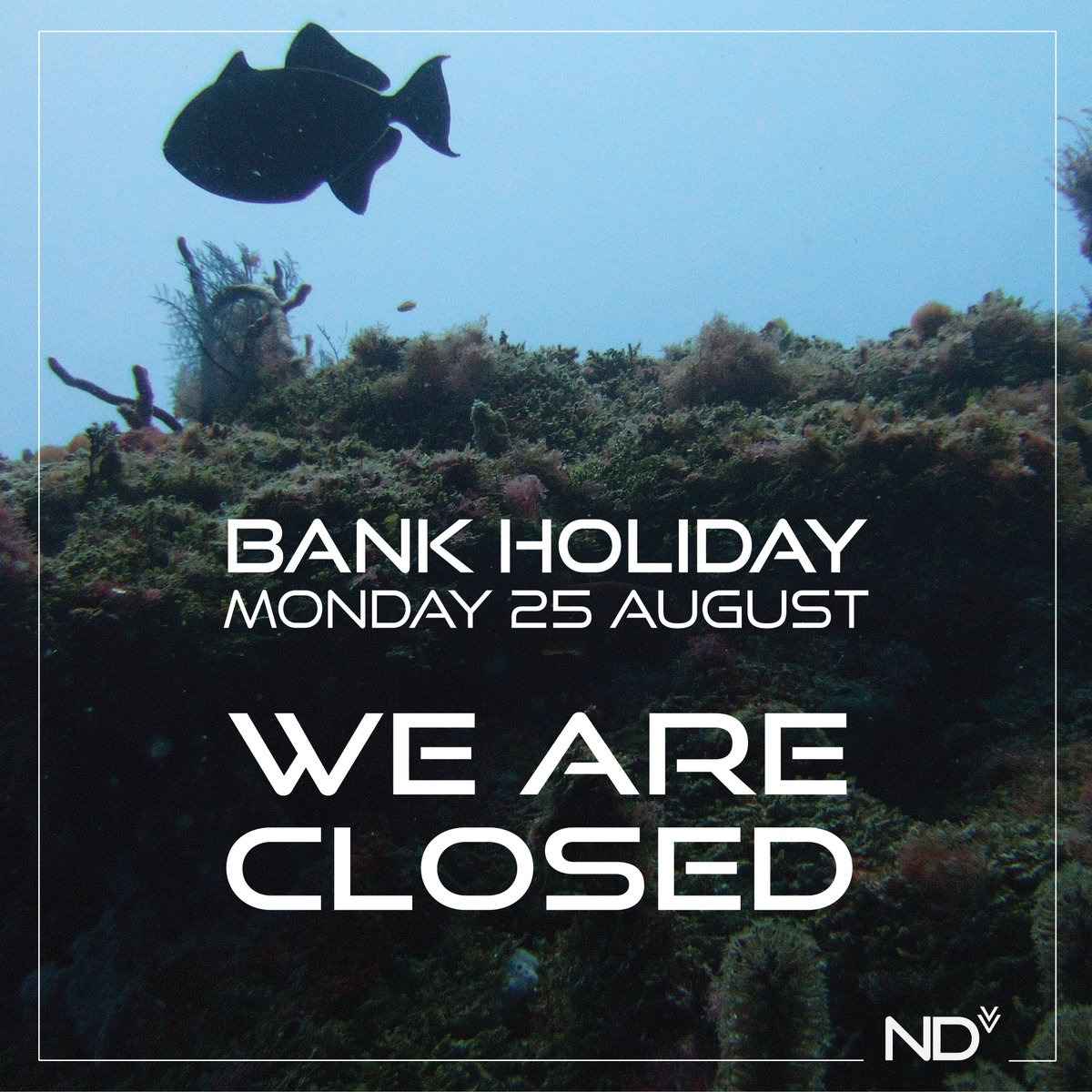 We're closed on Monday 25th August for the Bank Holiday. 🌊 
We'll be back Tuesday 26th, 8:30am - 5:00pm! 🤿 

Enjoy your bank holiday!
#NorthernDiver #DivingGear #BankHoliday #Scubadiving #scubalife