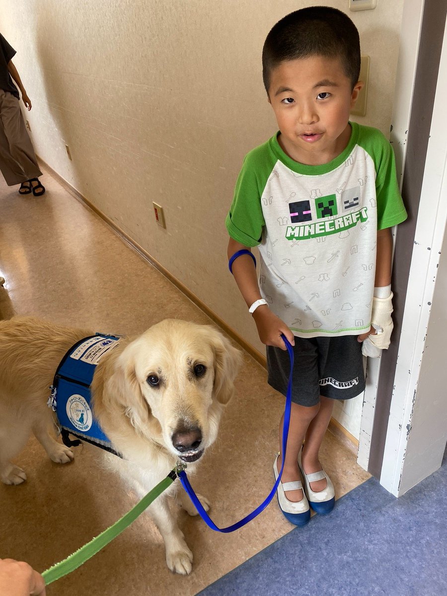 ファシリティドッグのタイやでー。
お友だちからのリクエストで、いっしょにお散歩したでー。
3枚目の写真、なんかボクらおんなじ上目遣いでかわいいやん♪
廊下の窓から、いつもボクらを見守ってくれている２代目ヨギ先輩にもご挨拶。（１枚目）
これからも、子どもたちを見守っててね。