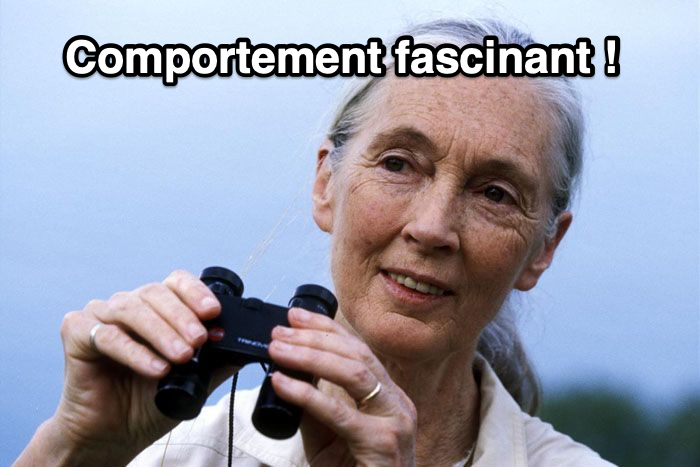 Bouli ☃️ tweet media