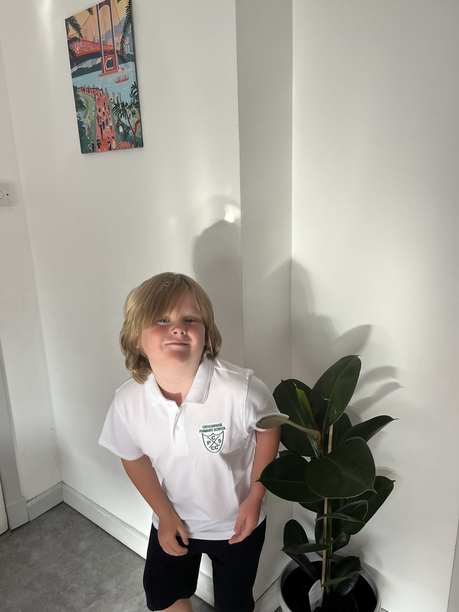 Arlene trapp (@arlene_trapp) on Twitter photo Up since 0500 'champing at the bit' for Primary 3 📕✏️🏫 Up since 0500 'champing at the bit' for Primary 3 📕✏️🏫