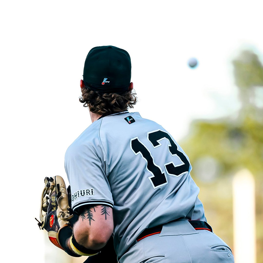 新風 #キャベッジ