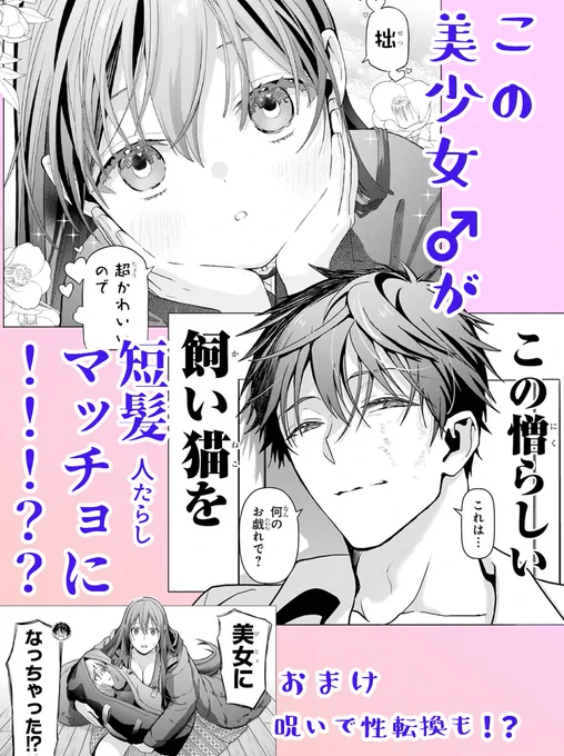 友人が「相変わらず属性もりもり男だな」
と言って「緒坂唯鈴」プレゼン画像を作ってくれました!
唯鈴を説明する時にご使用くださいませ
#僕の呪いの吸血姫 #最新8巻出ました
https://t.co/RTOtzDKPZe 