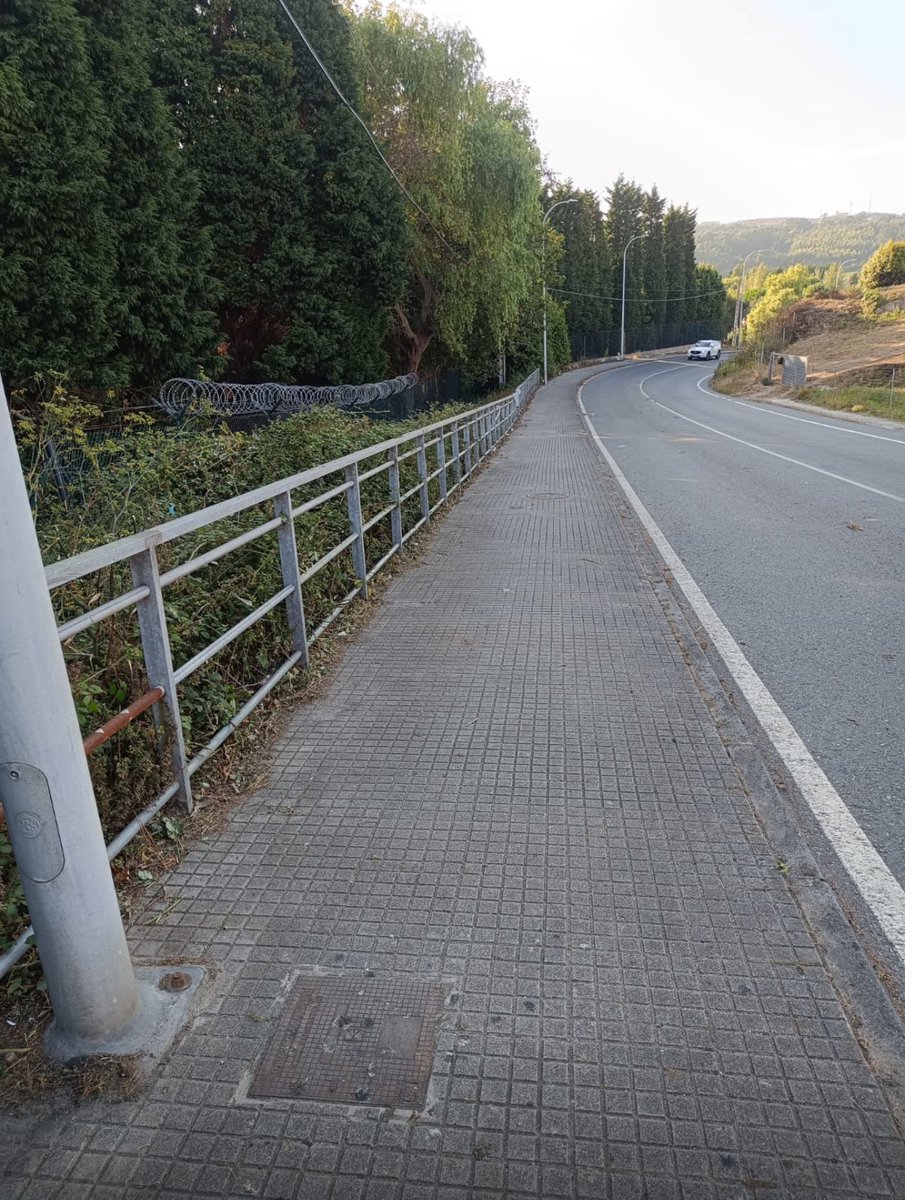 Yoya Neira Fernández tweet media