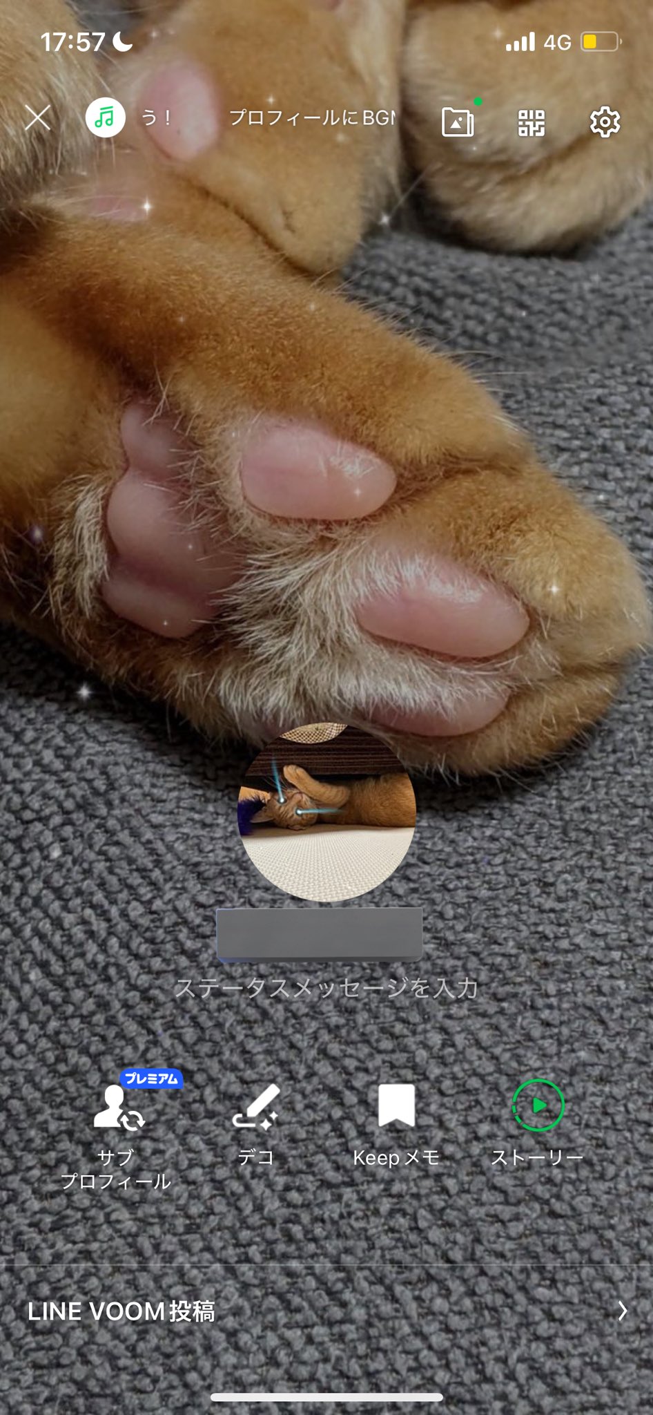 みる様❁専用ページ オタクどもLINEのプロフィールを晒せ - Search / X