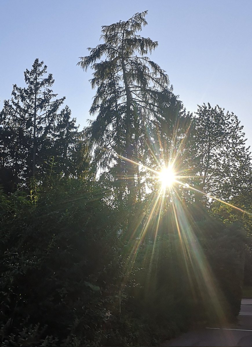 RonjaKing176773's tweet photo. #BeautifulWorld #loveit #lifeisgood
#sunset #sunsetlover #beautiful #magischeWelten #magic #magicalworld #Magie https://t.co/qQfyVnl7BR
