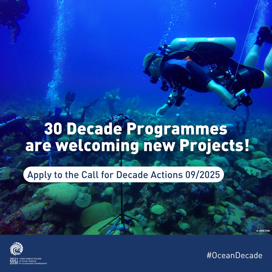 UN Ocean Decade tweet media