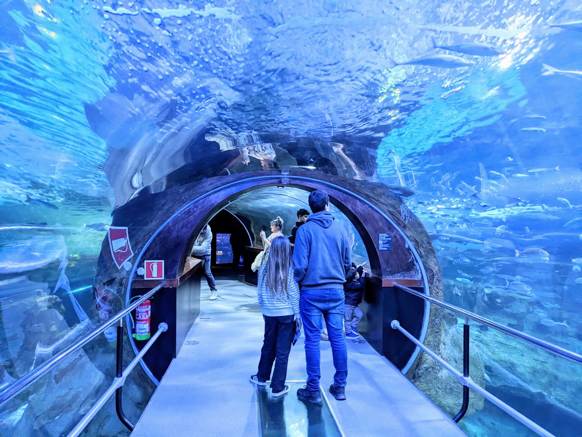 Things to do for all the family 🙌

Interactive museums, mysterious caves, beaches, animals, old trains... and lots more adventures to stir a passion for travel! 🔥

Discover all that the Basque Country has to offer for families here 👉ow.ly/qTEI50WF8Co
