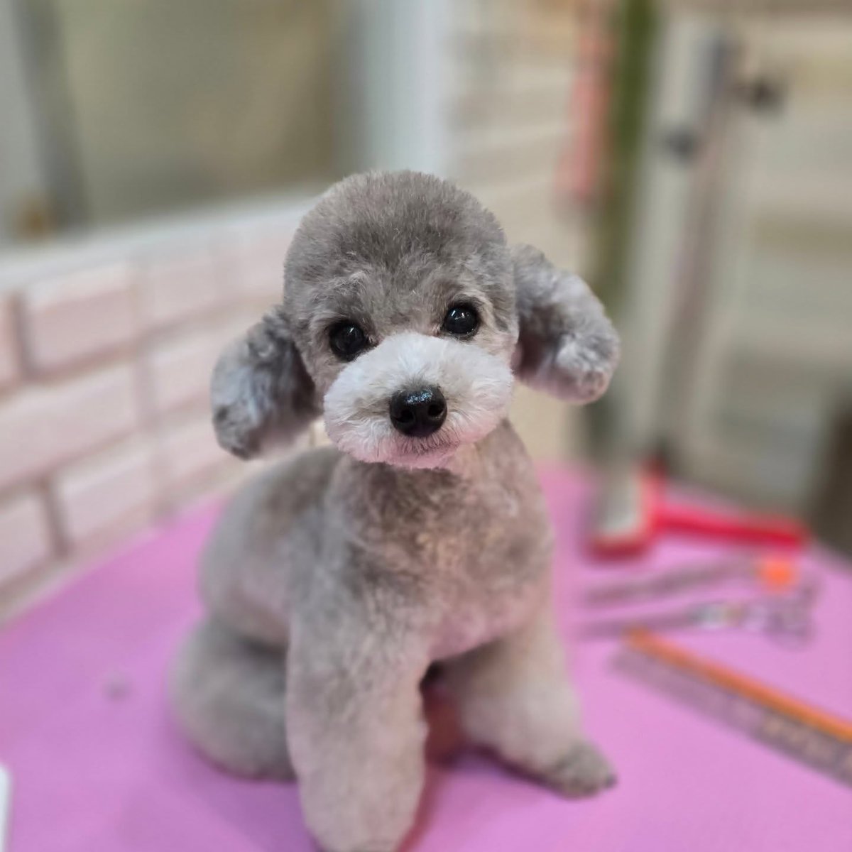 hourly_zero's tweet image. ZERO from grace_groom&apos;s IG