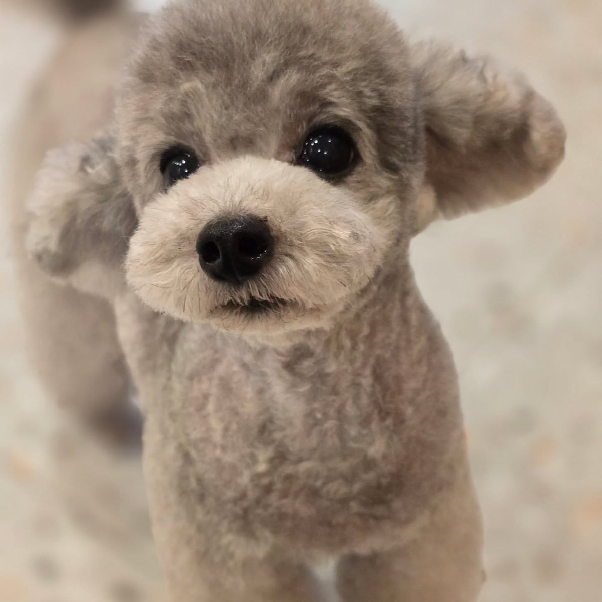 hourly_zero's tweet image. ZERO from grace_groom&apos;s IG