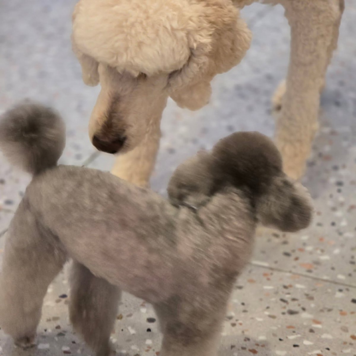 hourly_zero's tweet image. ZERO from grace_groom&apos;s IG