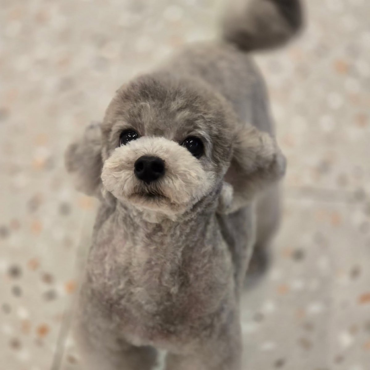 hourly_zero's tweet image. ZERO from grace_groom&apos;s IG