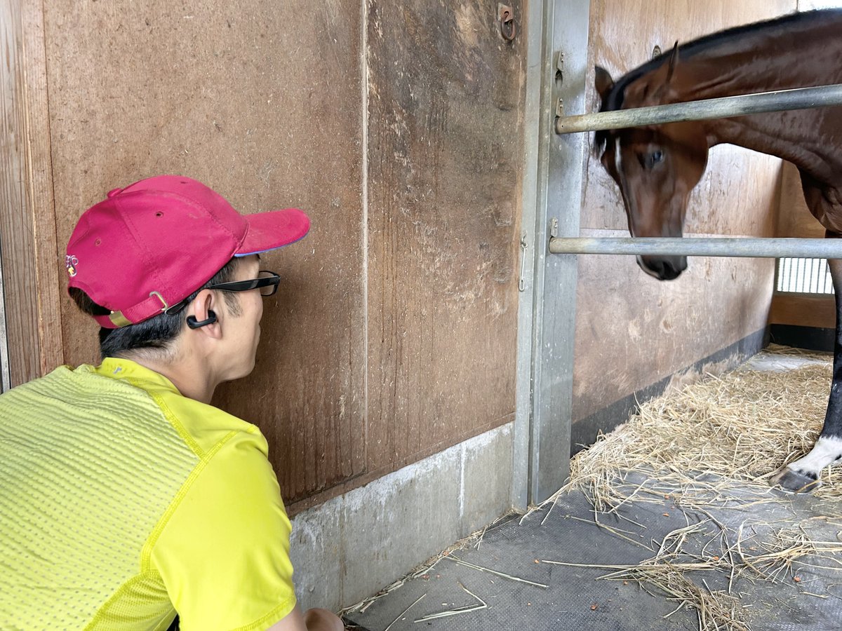 らん🐴 (@ran1026) / X