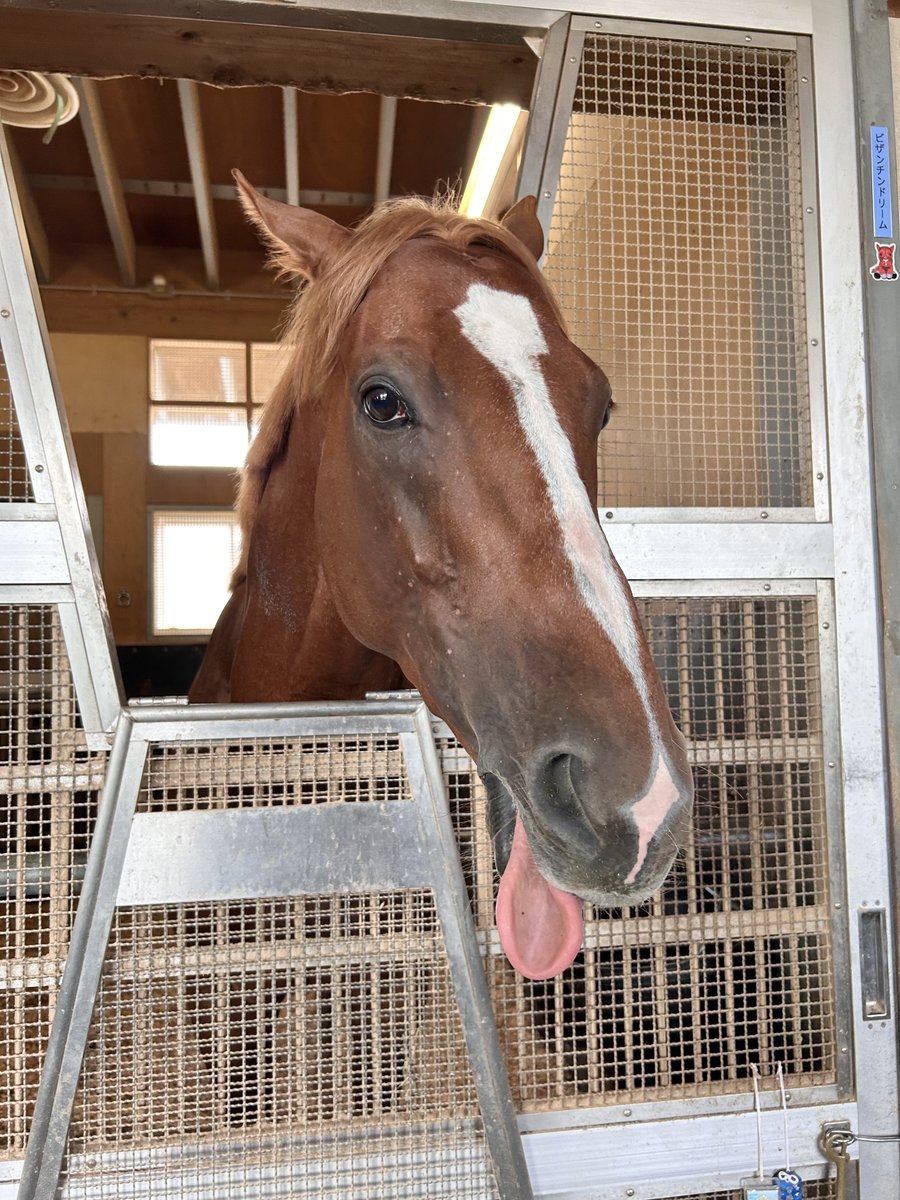 ルントー (@U6GkBN7zFRoqEN2) / Posts / X