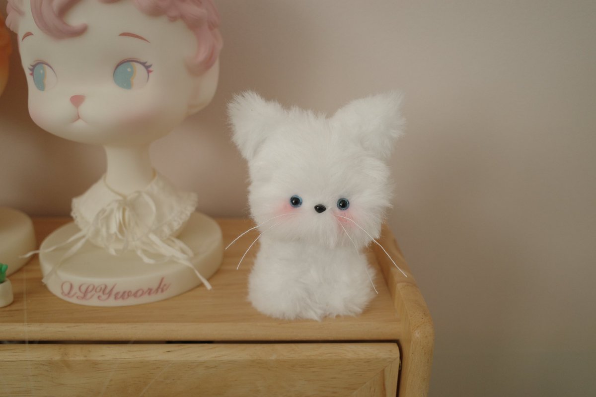 밍키✨ tweet media