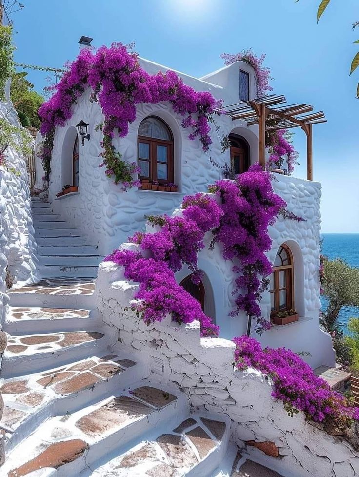 XiaobaiS65933's tweet image. 