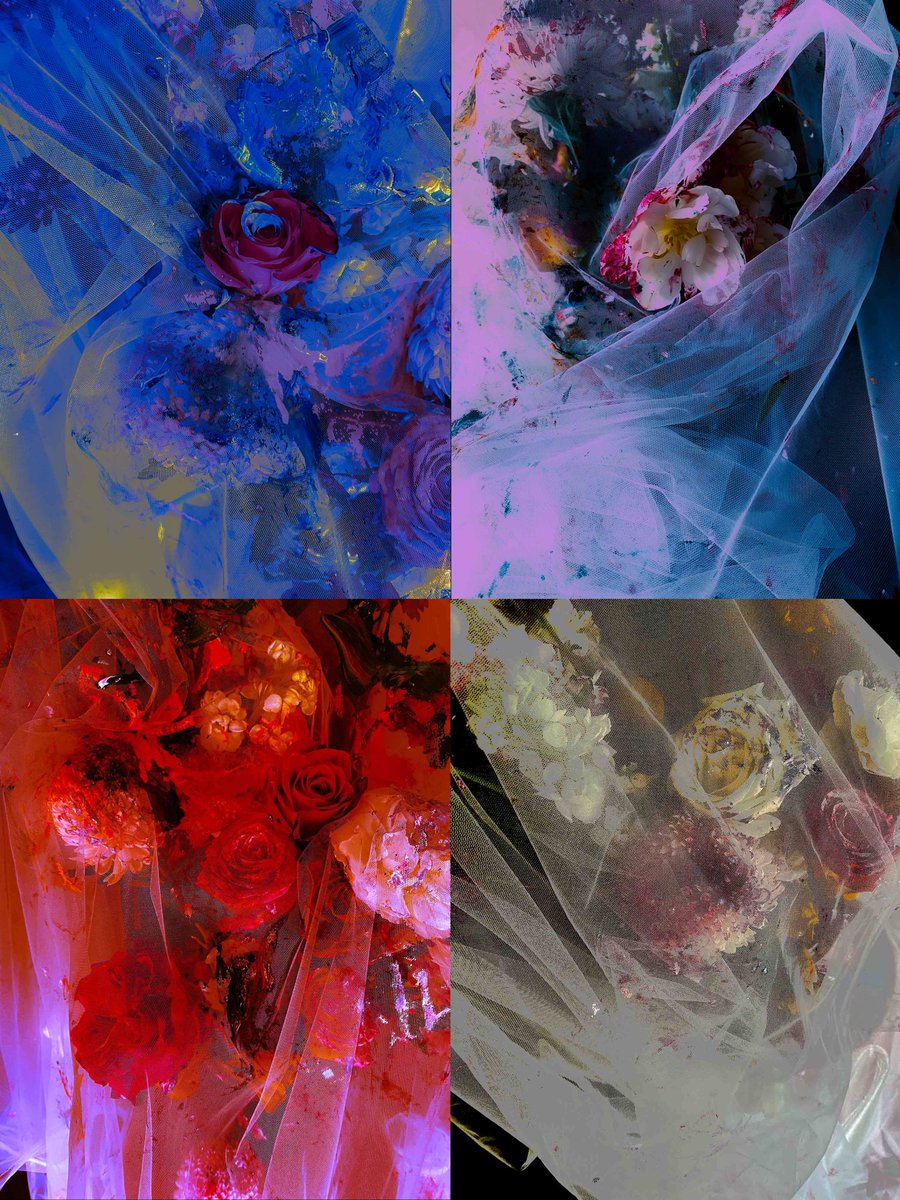 I once believed the sky bowed softly to my sorrow