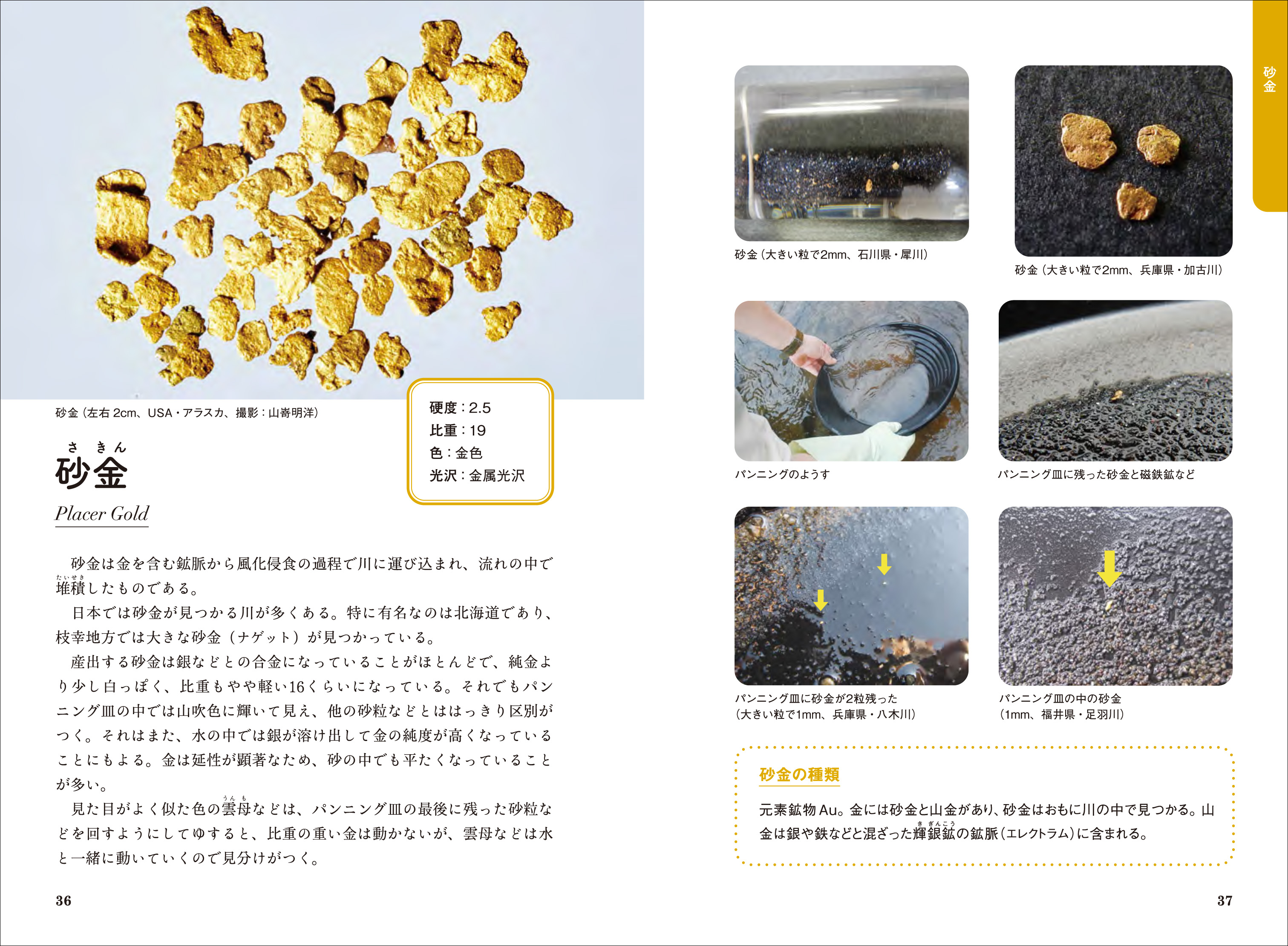 チン妙な石...何これ？値下げ可能 巨大、激重、875グラムに達する極めて巨大な個体、最も有名な