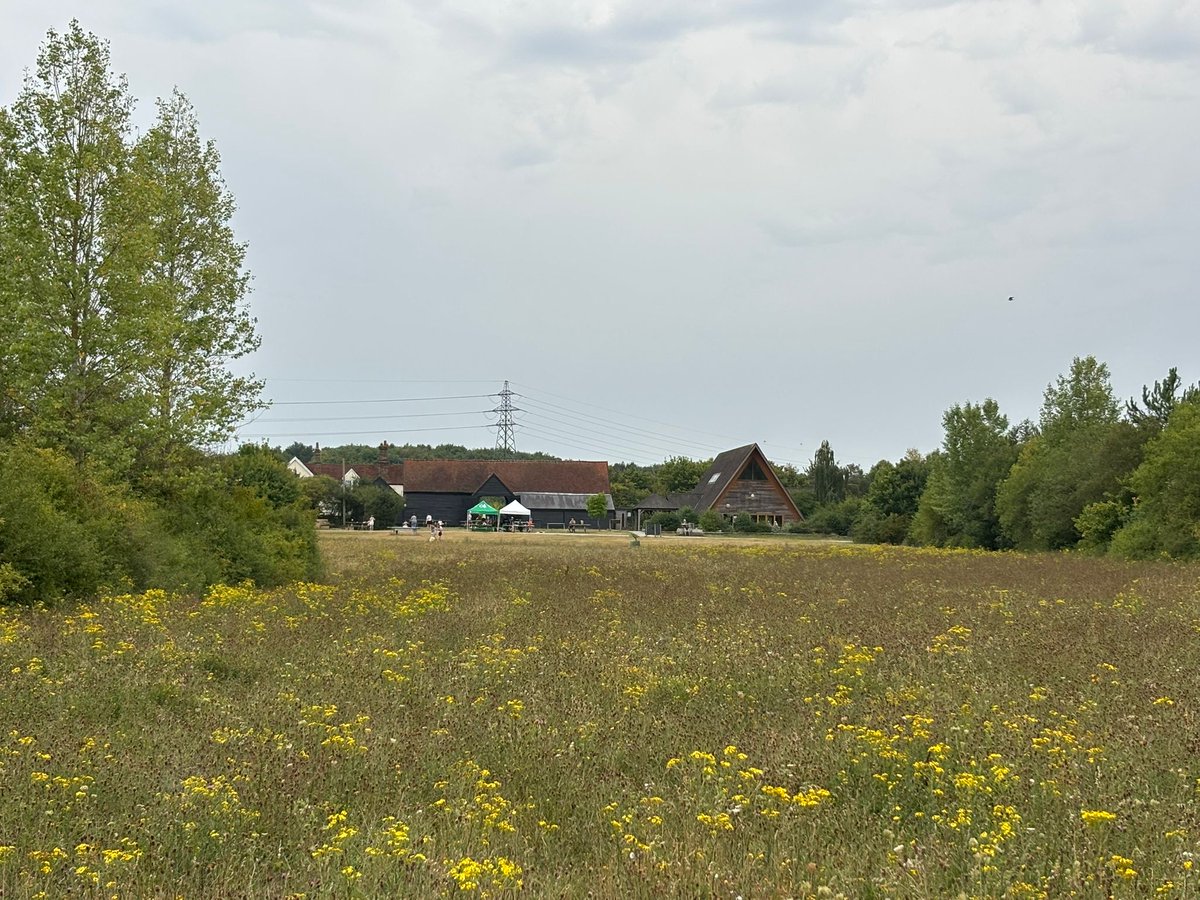 Last week at the Thames Chase Forest Centre, we hosted our annual Bioblitz event in partnership with Forestry England. Our Bioblitz consisted of bug hunting, pond life identification, badge making, and butterfly crafting. We welcomed over 60 people to take part in these