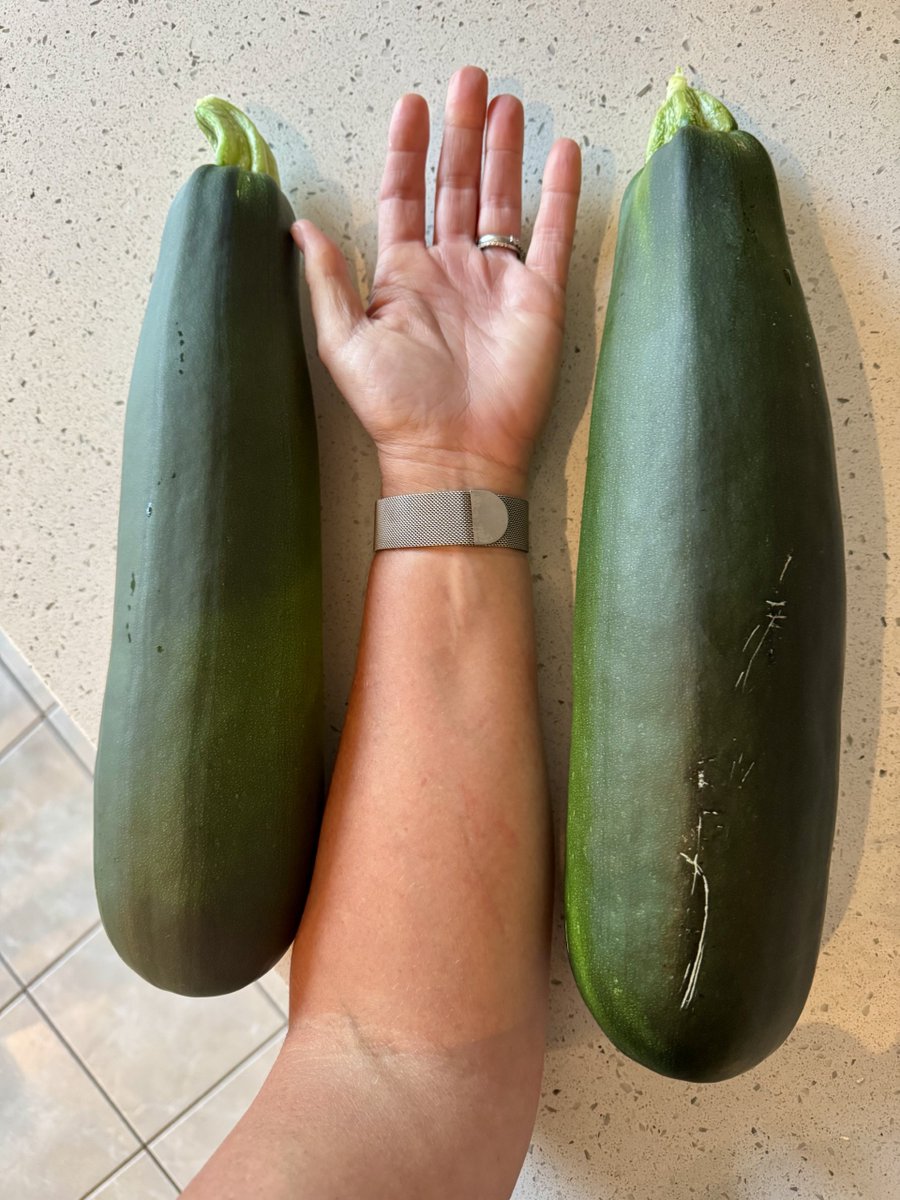 Ali Lanyon tweet media