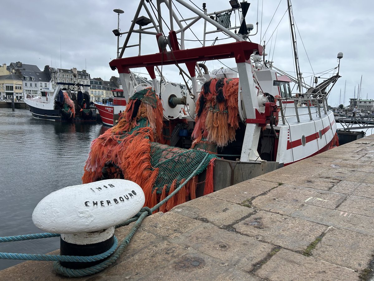 Rodolphe Geisler tweet media