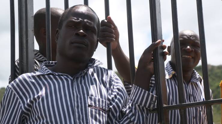 "i applied pressure on the sides of the neck"