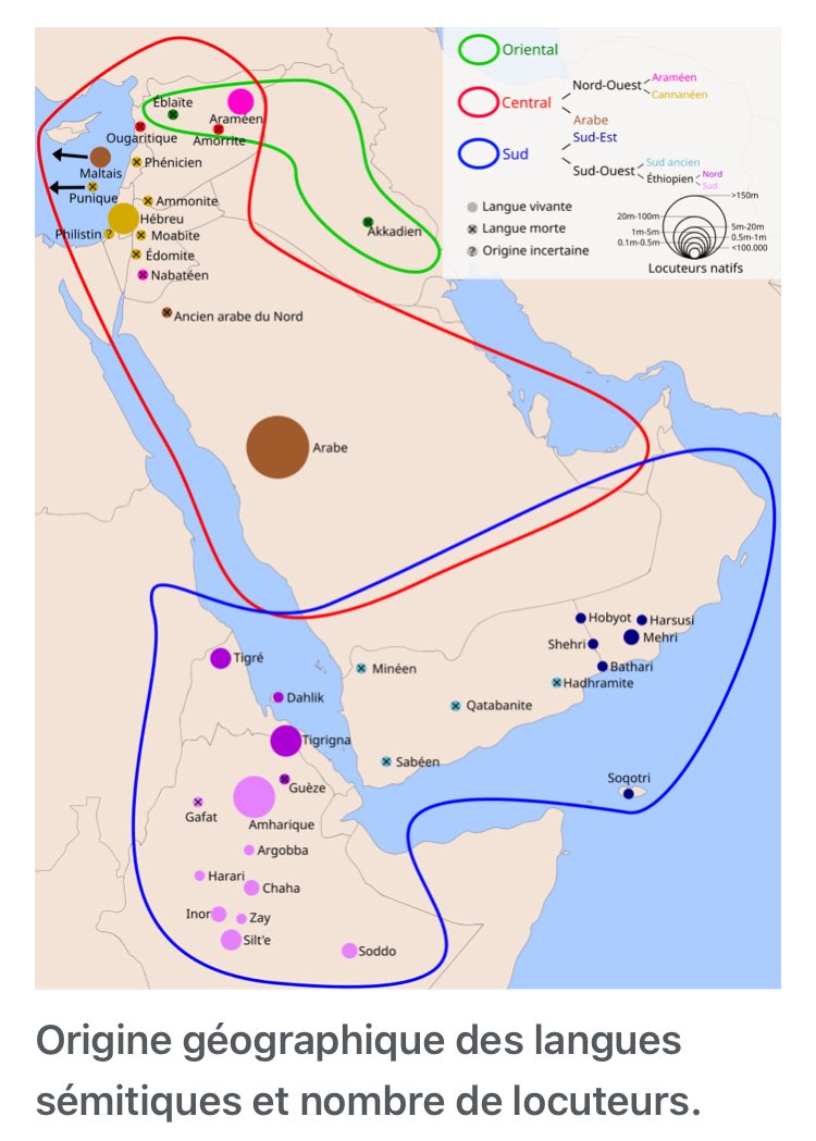 Olivier Clamaron (@cameron20370744) on Twitter photo <a href="/AkhenatonIAM/">Akhenaton Officiel</a> Merci.
Même Wikipedia confirme par exemple la carte des langues sémitiques.
Abraham est aussi appelé Ibrahim. Il eut deux femmes Sarai et Hagar. Une juive l'autre égyptienne.
Famille qui donna naissance aux Israélites ET aux Ismaélites.
Les Sémites sont constitués des <a href="/AkhenatonIAM/">Akhenaton Officiel</a> Merci.
Même Wikipedia confirme par exemple la carte des langues sémitiques.
Abraham est aussi appelé Ibrahim. Il eut deux femmes Sarai et Hagar. Une juive l'autre égyptienne.
Famille qui donna naissance aux Israélites ET aux Ismaélites.
Les Sémites sont constitués des