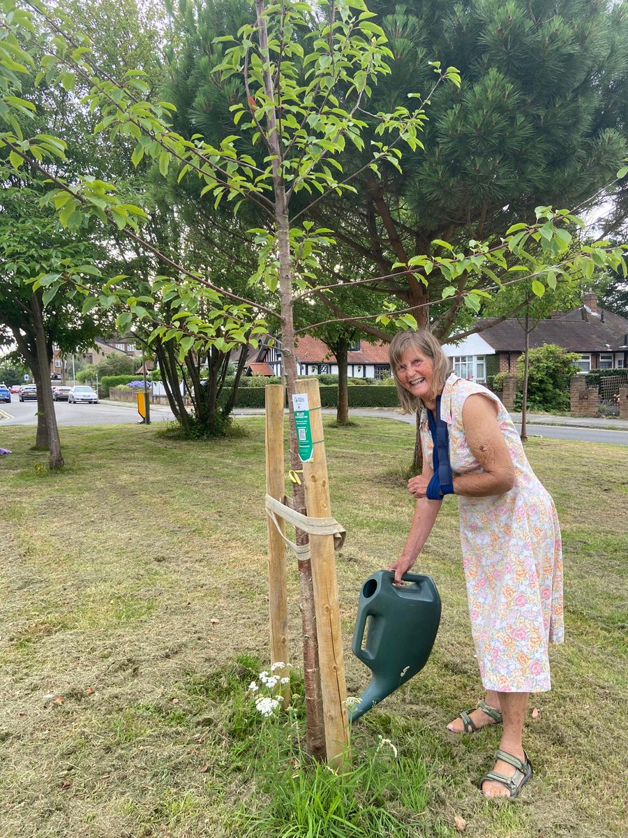 Grab your watering cans, bottles and buckets - it's time to water your trees again! 💧🌳

Remember, your local young street trees need 50L of water a week, especially during the warmer months. For more watering tips, visit our website 👉 treesforstreets.org/watering-champ…