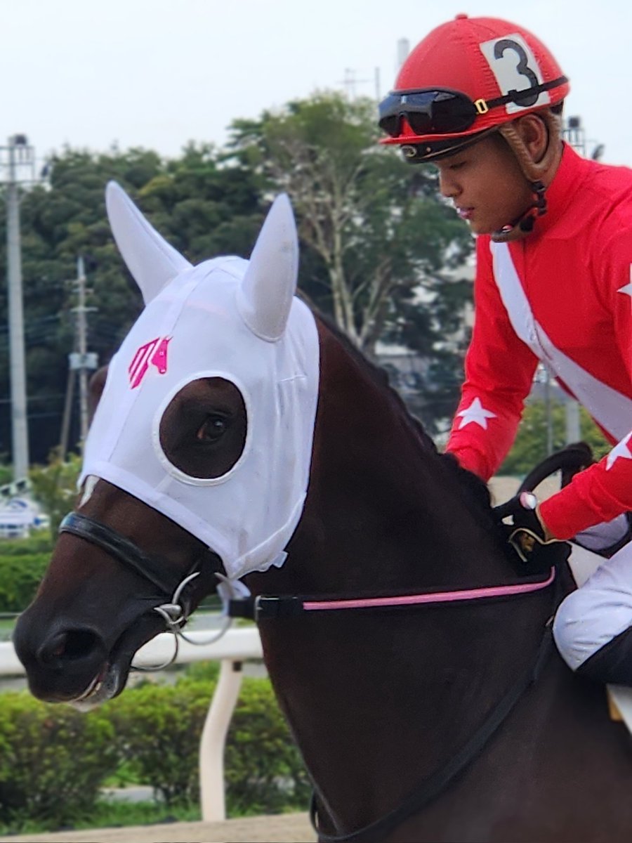 浦和6R
#ペチンペチンイテテ
#野畑凌 騎手
#水上直人厩舎
#浦和競馬