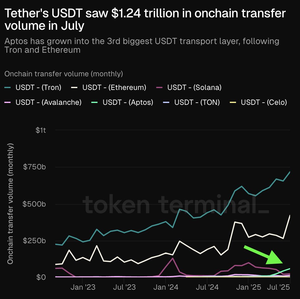 图表展示 2023 年 1 月至 2025 年 7 月各区块链的 USDT 链上转账量