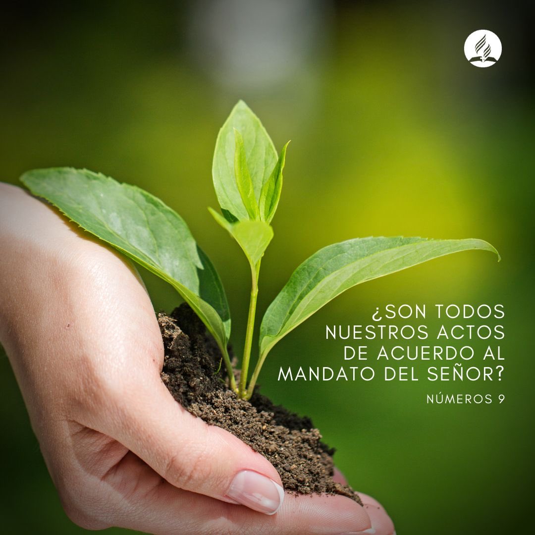 Are all our actions in accordance with the Lord's command? - Num 9

Todas as nossas ações estão de acordo com a ordem do Senhor? - Núm 9

#GodFirst #PrimeroDios #PrimeiroDeus #RpSp #RbHw