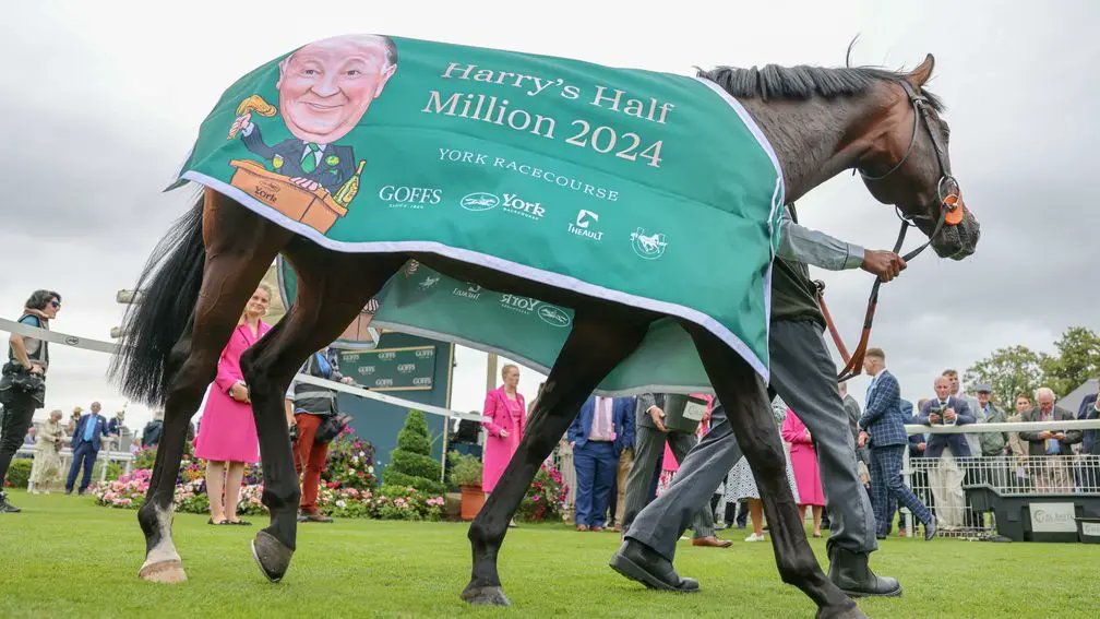Racing Post Bloodstock (@rpbloodstock) on Twitter photo π Usual suspects lead the way for Harry's Half Million as sales skills come to the fore
Read more here π bit.ly/41dJz8K π Usual suspects lead the way for Harry's Half Million as sales skills come to the fore
Read more here π bit.ly/41dJz8K