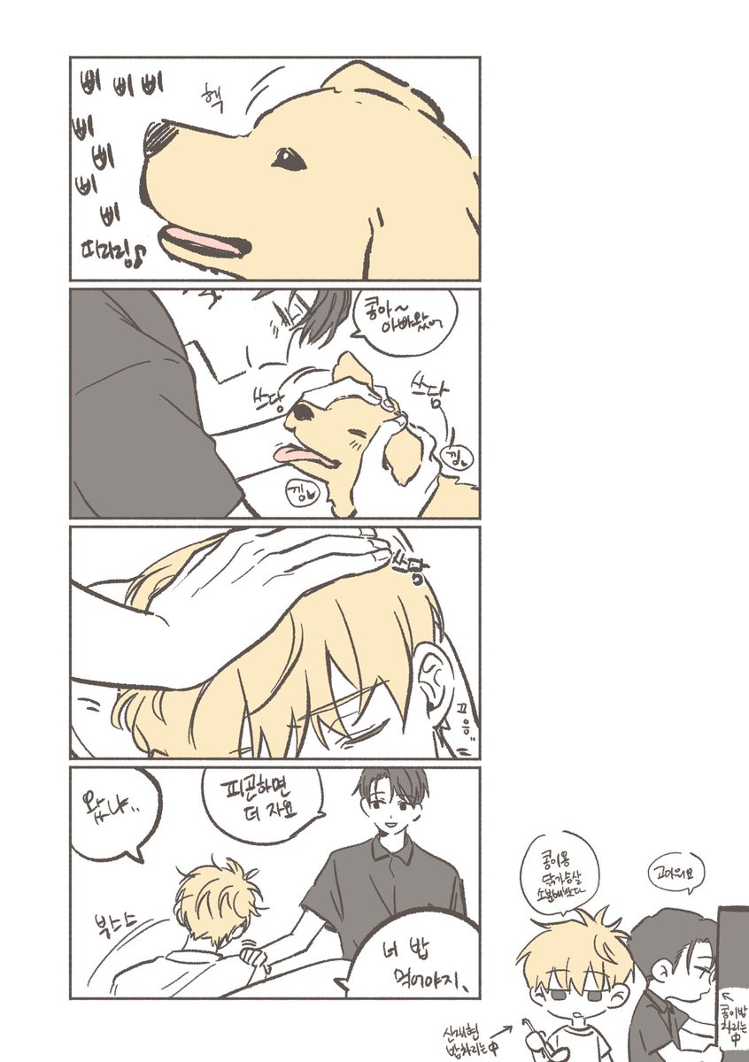 동그랗고 노란거 두개가 나란히 소파에서 자고있는 일상의 문엋