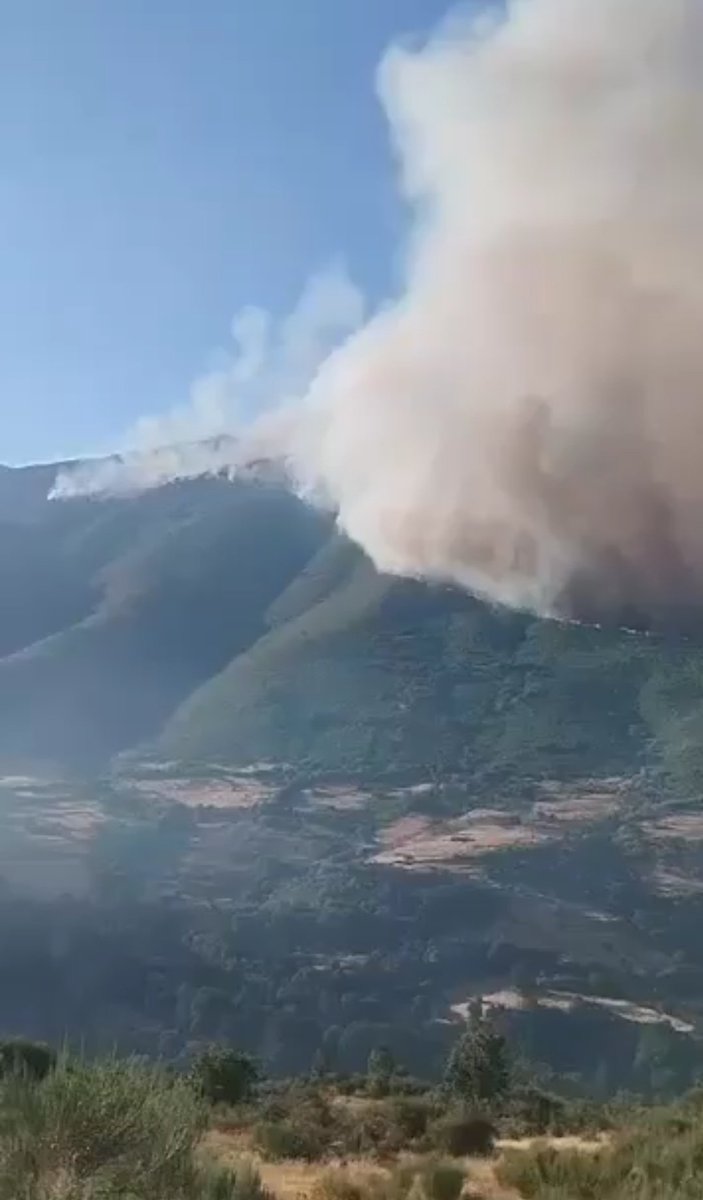 COMO DESERTIFICAR ESPAÑA
1.- Vaciar la España Rual
2.- Fomentar el abandono de ganadería extensiva y agricultura de mosaico en zonas de montaña
3.- Abandonar aprovechamientos forestales milenarios por limitaciones o no viabilidad
4.- La bomba forestal está lista. Sólo queda el 🔥