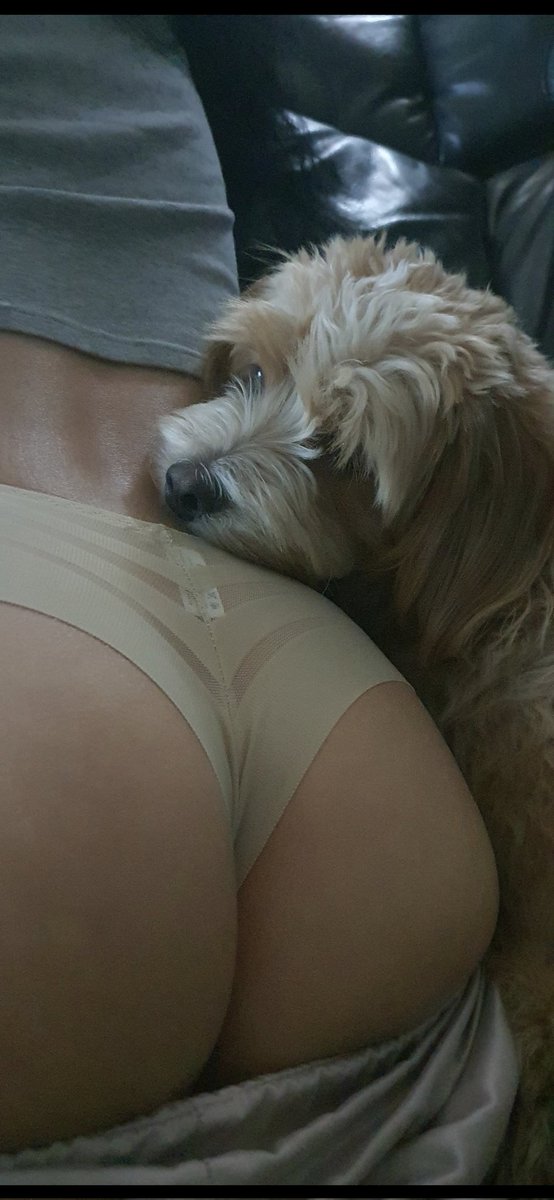 아내왈  뭐가예뻐?
아직 쓸만한가요?