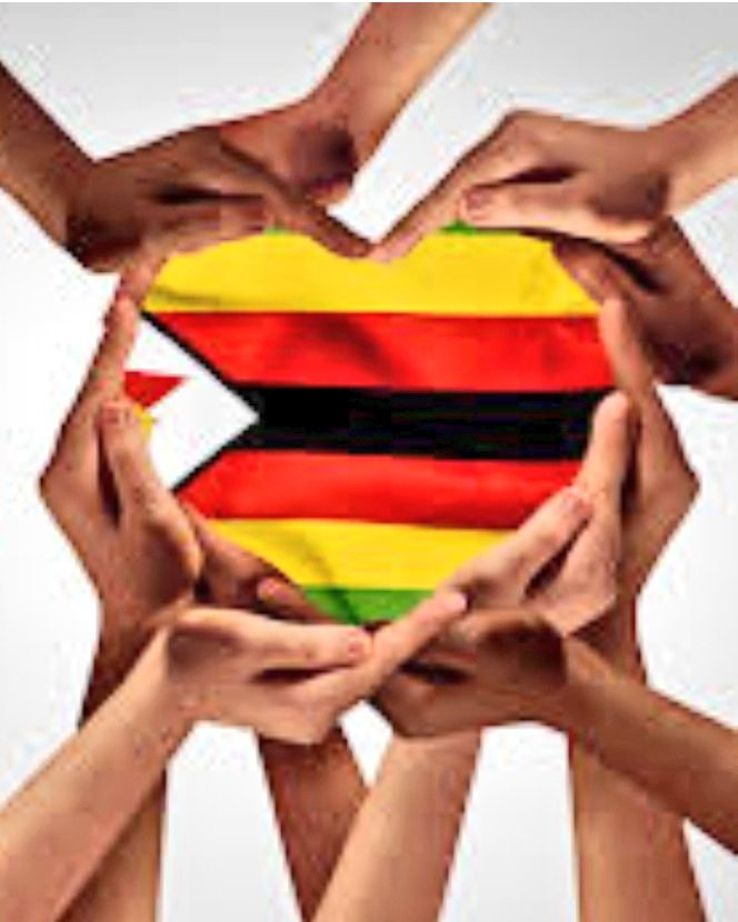 lilomatic's tweet photo. Page 3

▪︎ Resolve Debt and Sanctions Expedite debt restructuring through the IMF’s Structured Dialogue Platform and address sanctions by demonstrating commitment to human rights and governance reforms. 

A Call to Action 

Zimbabwe’s future is not a distant hope. It is a reality we can shape today. As I stated in my 2024 New Year message, “Let us make 2024 a year of positivity and restoration.” The message is still vivid and very valid today.

We must reject toxic politics and embrace unity, harnessing our collective strength to transform challenges into opportunities. The government has a duty to lead with courage, but Zimbabweans must also demand accountability and participate actively in nation-building. (https://t.co/CN2u37kGbq) 

As LEAD President, I remain committed to advocating for a Zimbabwe where every citizen is empowered, protected, and valued. My activism from challenging human rights abuses during the Mugabe era to fighting for workers’ rights has taught me that change begins with us. Let us seize this moment to build a nation that reflects our shared aspirations for justice, prosperity, and unity. (https://t.co/6HDUgxiGZ8)

To my government: act swiftly, prioritize the people, and let us work together to make Zimbabwe a shining example of African resilience. To my fellow Zimbabweans: rise, believe, and let us reclaim our nation’s greatness. #RiseWithLinda When we rise, we rise together. 

Linda Tsungirirai Masarira is the President of Labour, Economists and Afrikan Democrats (LEAD) and a passionate advocate for human rights, gender equality, and economic justice.