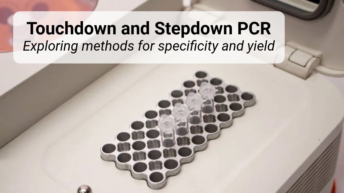 Bento Lab 🧬 tweet media