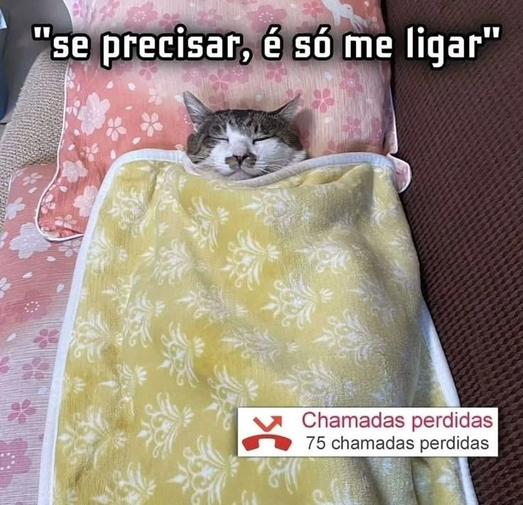 odeiootaco's tweet photo. https://t.co/vEKzC9eNKG