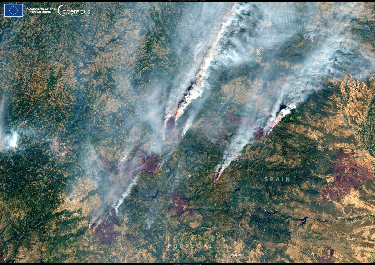 CopernicusEU's tweet photo. 🚒 Wildfires in Spain 🇪🇸 &amp; Portugal 🇵🇹 have forced evacuations. 

Spain already hit its highest annual fire emissions on record, while Portugal nears historic highs. 

🛰️ #CopernicusEU support the response.

#ImageOfTheDay https://t.co/a2XHMMH8ph