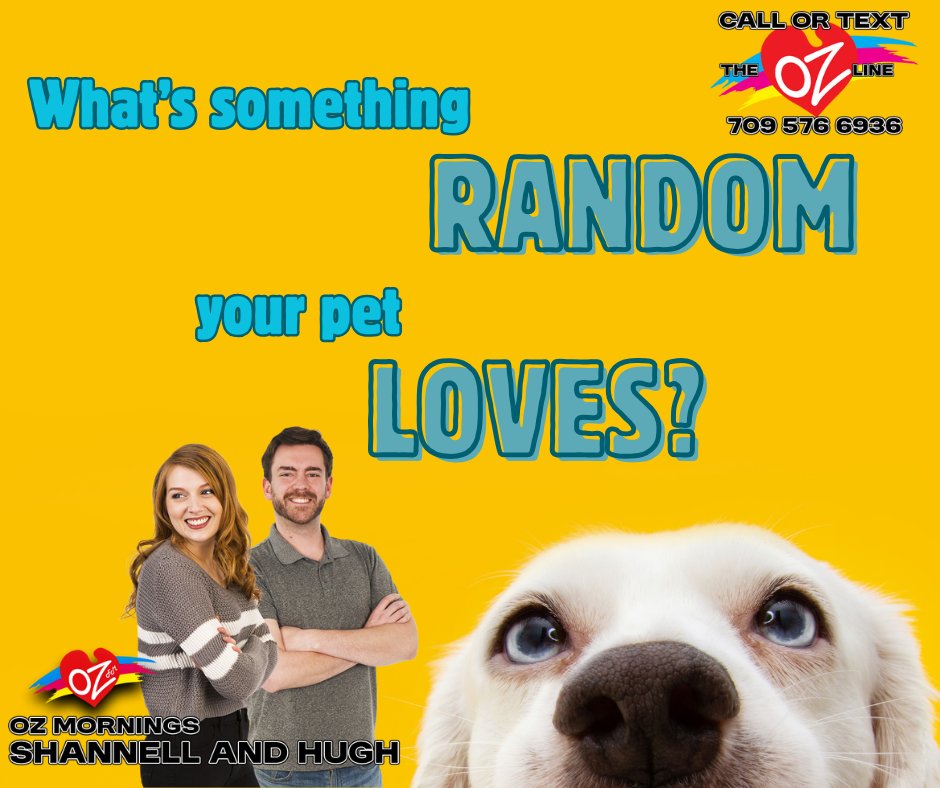 Shannell's cat Milkshake loves the barbecue and playing with receipts while Hugh's dogs are obsessed with blankets.
-OZ Mornings