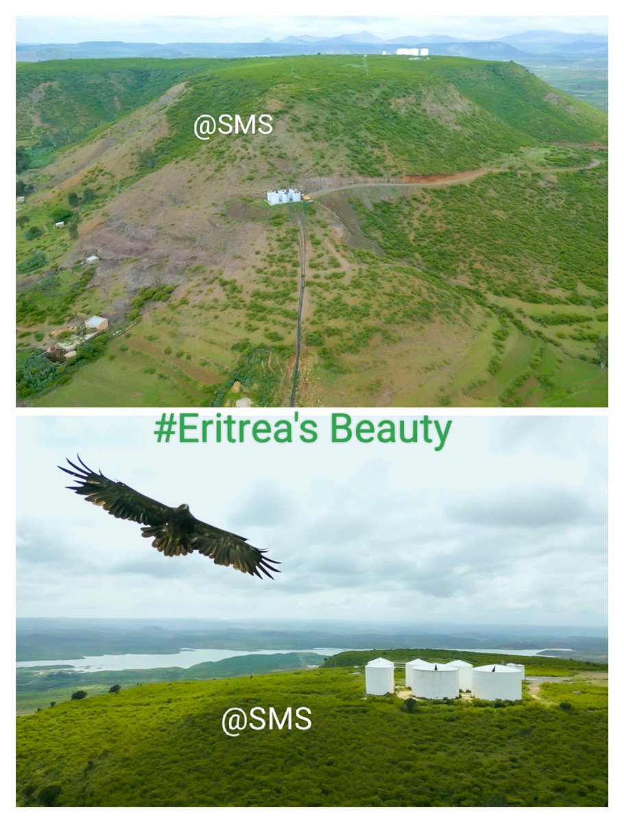 This is #Eritrea. 
Leave your reaction @ the comment section. Don't miss the #Eagle. Summer season &amp; development sites. <a href="/hawelti/">Yemane G. Meskel 🇪🇷</a>   <a href="/GhideonMusa/">Ghideon Musa</a>