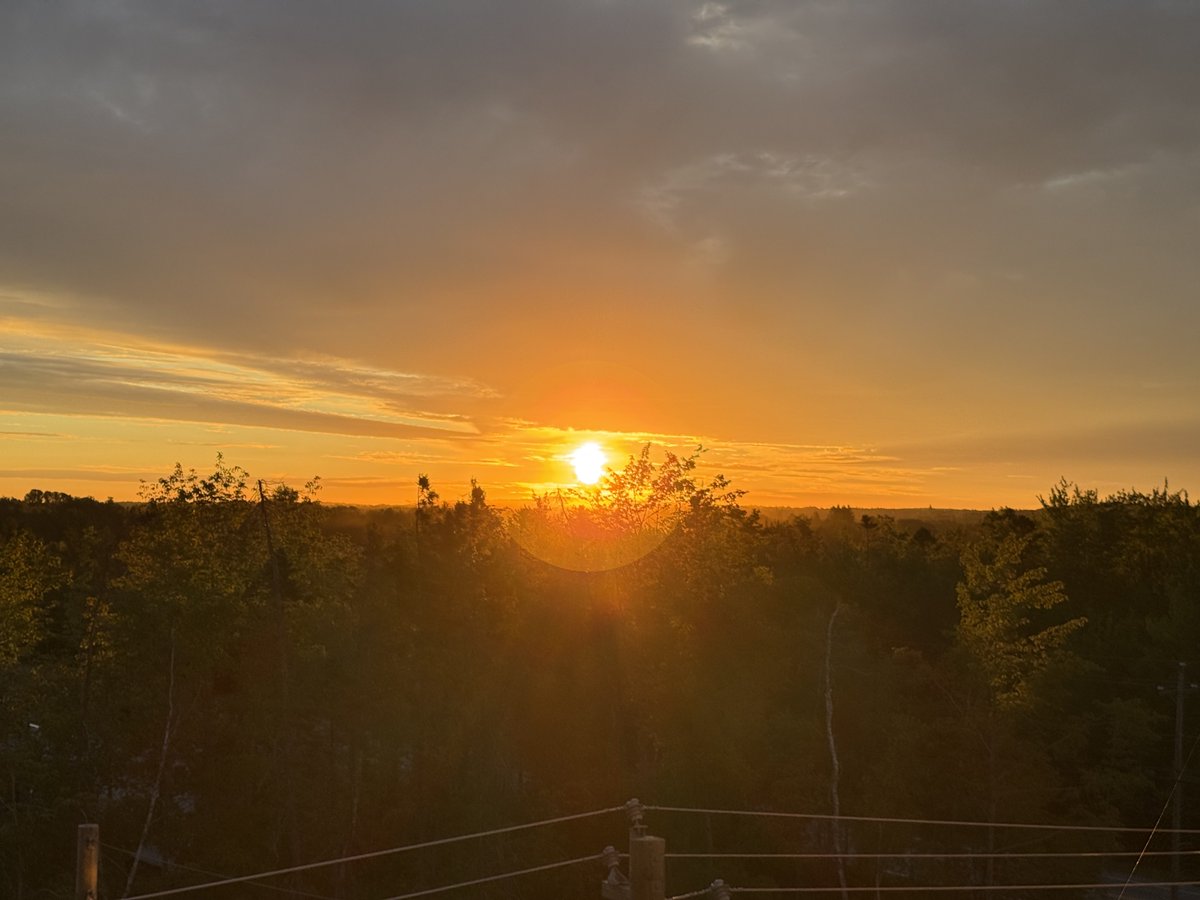 Happy HumpDay all!! Time to get up and get attem!!