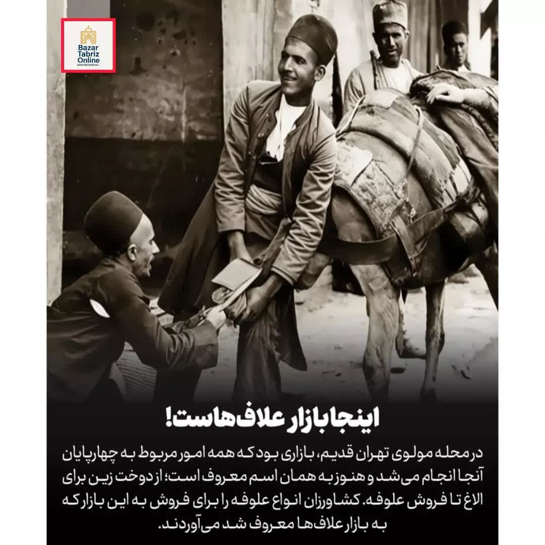 kazemzadehmousa's tweet photo. Old Tehran; where history whispered through the alleys
📷️In Darband, cool mountain shadows mixed with the aroma of kebabs and the song of streams.
📷 https://t.co/Re5XutB5QZ
#فوری #خبر_فوری #تهران #طهران #تهران_قدیم
#OldTehran #TehranNostalgia #HistoricTehran #eTehran https://t.co/48BdPPI94F