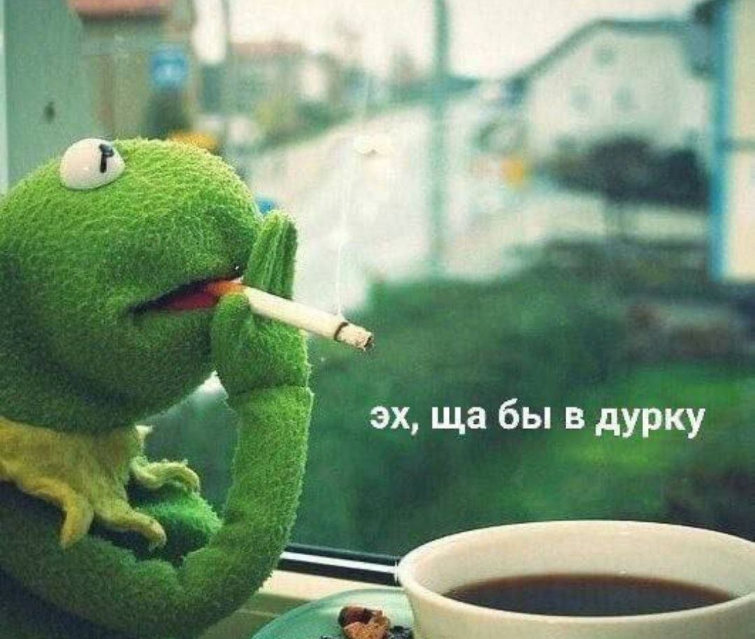 Половинка луны, меховые сыны и черная армия. (@moonhalf) on Twitter photo 