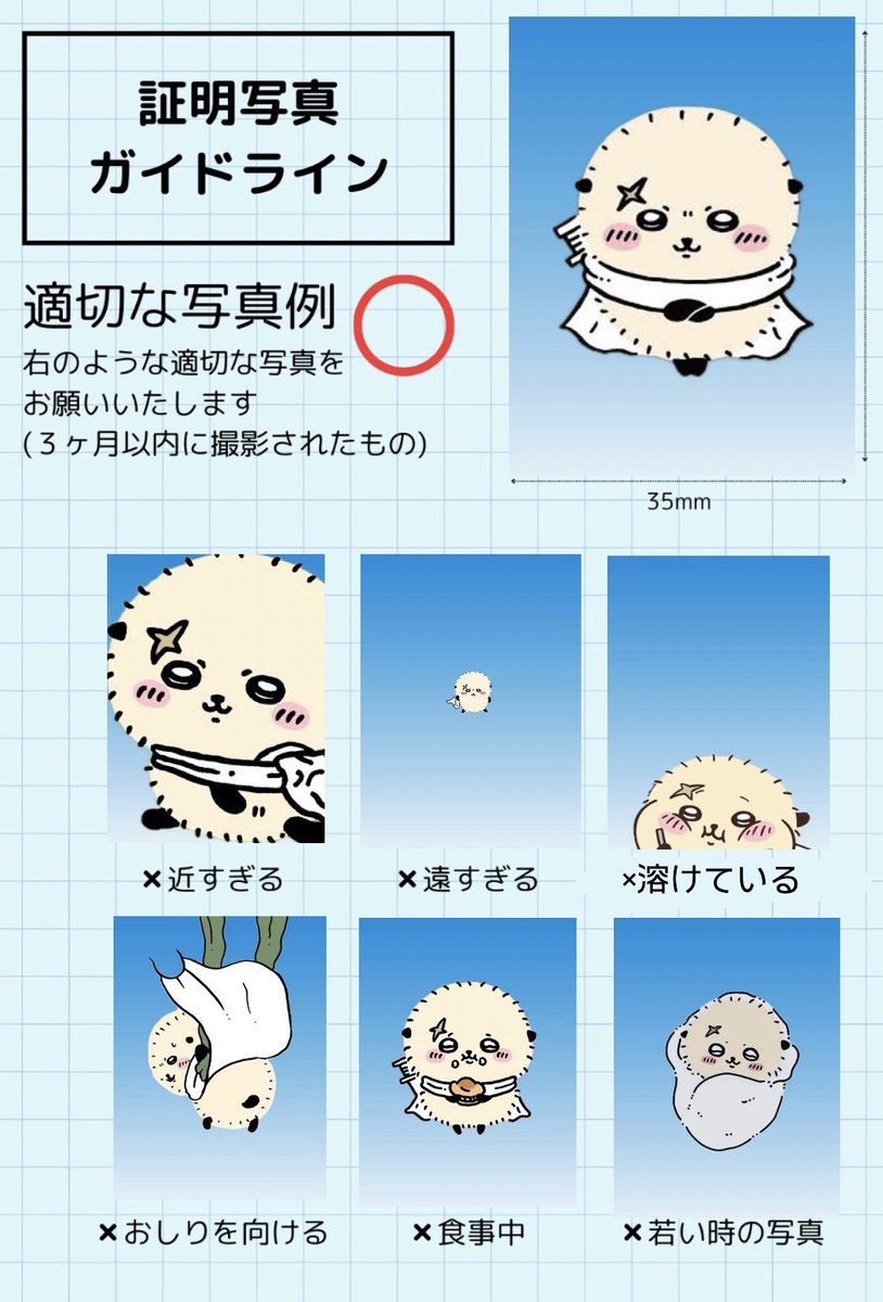 zocx 証明写真 証明写真ガイドライン - البحث / X