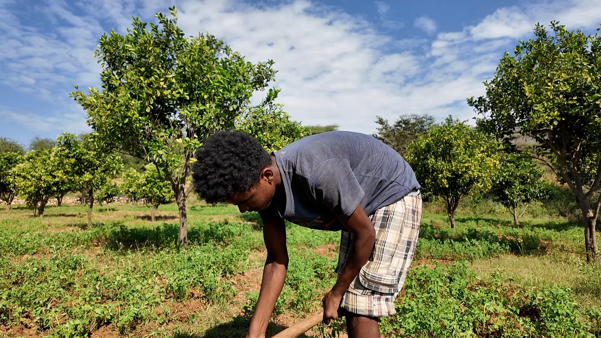 UNinEritrea's tweet image. In 2024, #Eritrea restored 2,830 hectares of degraded land and scaled solar-powered water systems—combining ecosystem renewal with clean energy to strengthen climate resilience.
#ClimateAction
#SDG13