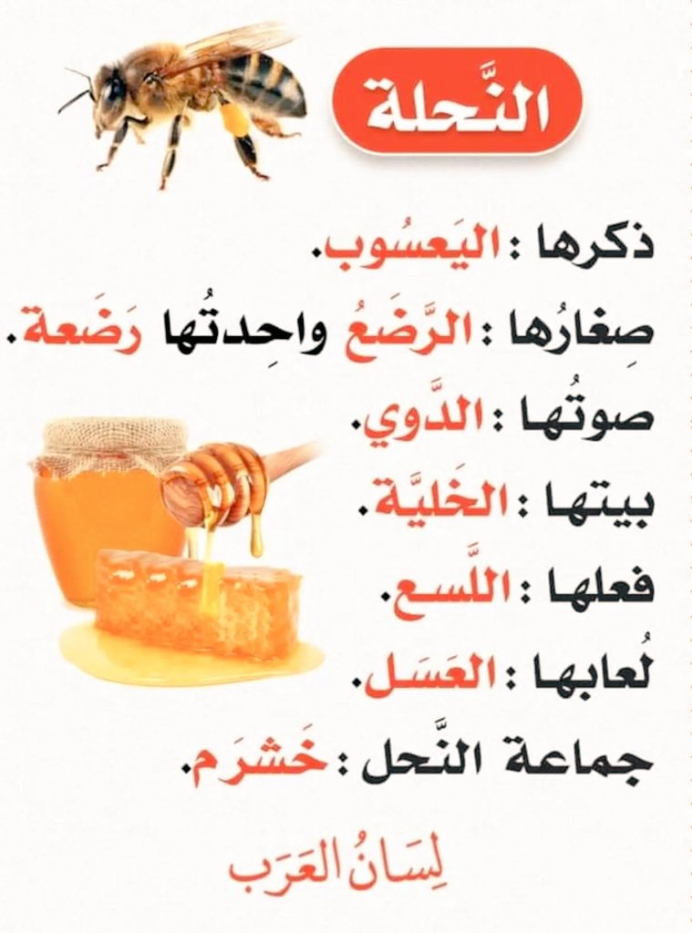 zainijamadar tweet picture